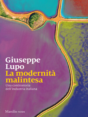cover image of La modernità malintesa